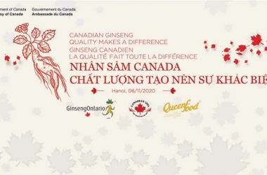 Sự kiện Nhân sâm Canada: Chất lượng tạo nên sự khác biệt - Hà Nội 06/11/2020